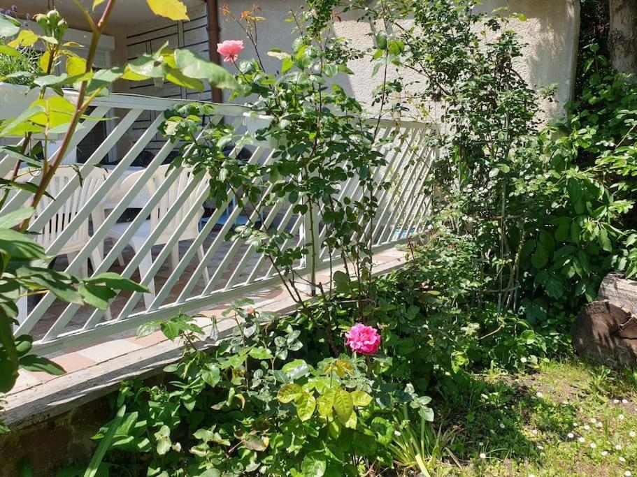Simay Appartement Balatonalmádi